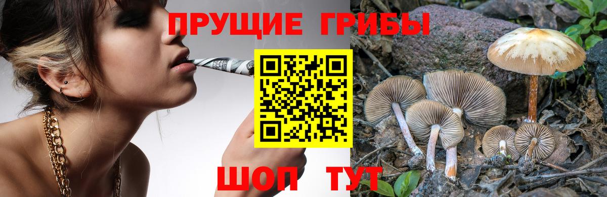 Псилоцибиновые грибы мухоморы Тара